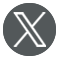 X logo icon